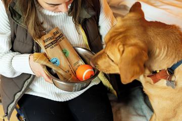 Pet-friendly amenities