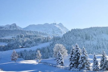 Skiing