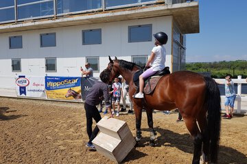 Horseback riding
