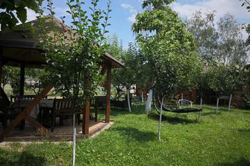Photo 32