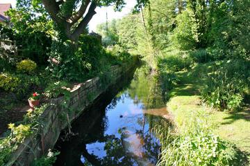 Photo 36