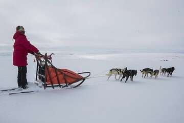 Sledding
