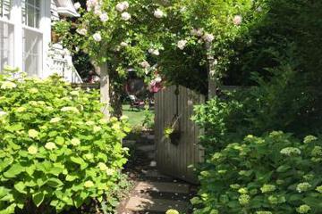 Photo 49