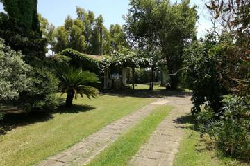 Photo 53