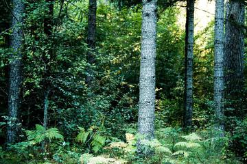 Photo 66