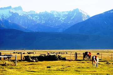 Mountain view