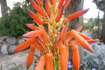 Photo 49
