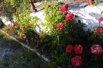 Photo 49