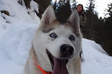 Snowshoeing