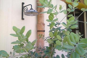 Photo 27
