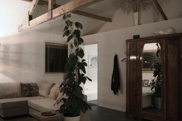 Photo 40