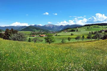 Land view from property