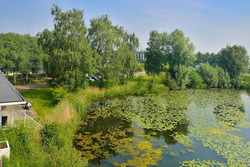 Lake view