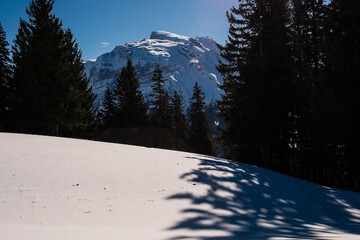 Snowshoeing