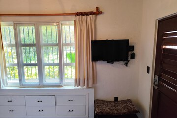 Television