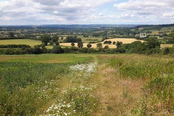 Land view from property