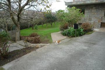 Photo 34