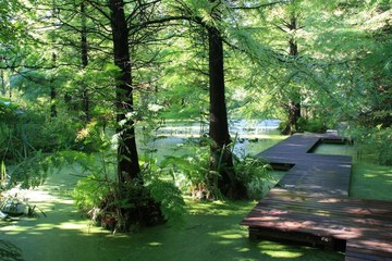 Lake