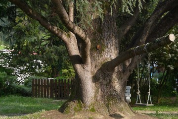 Children's play area - outdoor