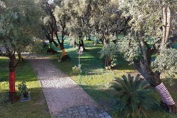 Photo 44