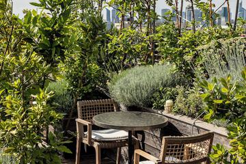 Rooftop terrace