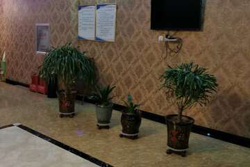Hotel Interior or Public Areas