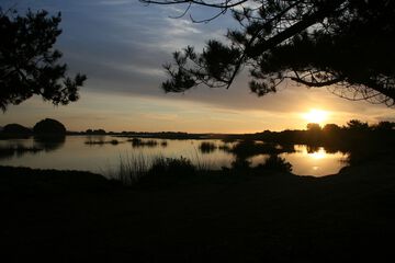 Lake view