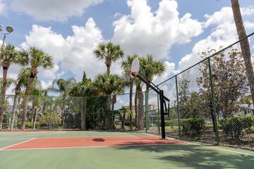 Basketball court