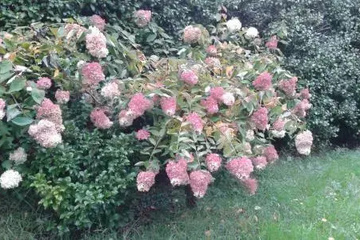 outside