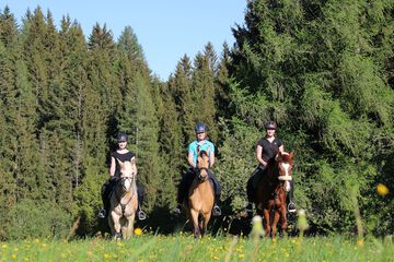Horseback riding