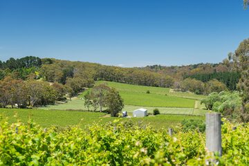 Land view from property