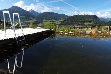 Natural pool