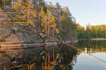 Photo 45