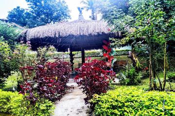 Photo 21