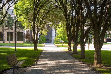 Property Grounds 95 of 95