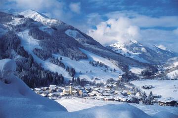 Photo 44