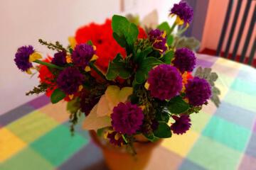 Photo 44