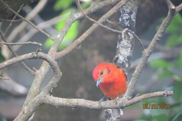Photo 25