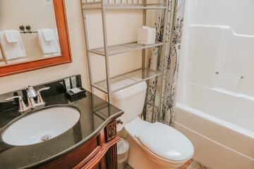 Bathroom sink
