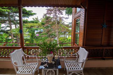 Terrace or patio