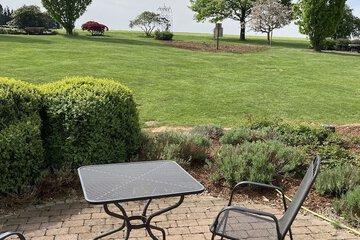 View from room