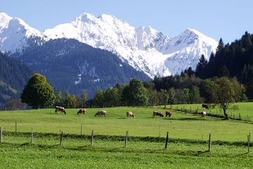 Mountain view