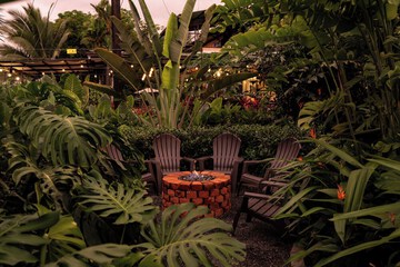 Garden view
