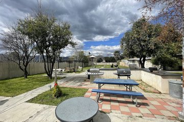 BBQ/picnic area