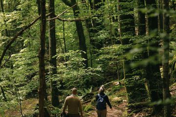 Hiking