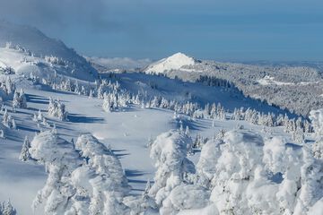 Mountain view