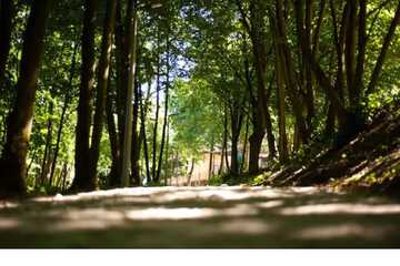 Hiking