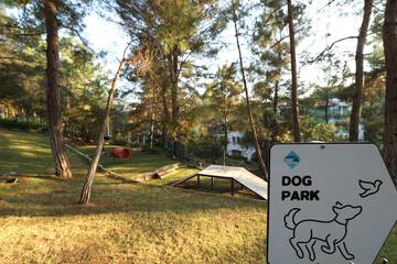 Pet-friendly amenities