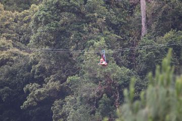 Ziplining