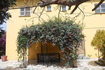 Photo 32